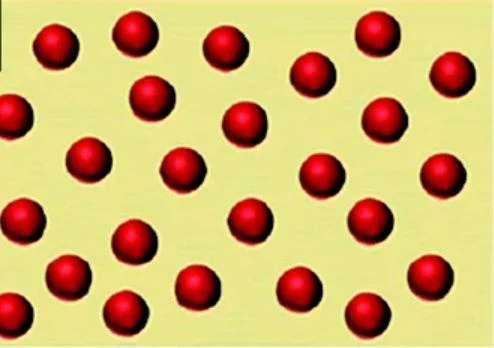 1638688116(1) 1638688116(1)
